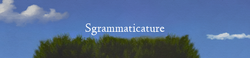 Sgrammaticature